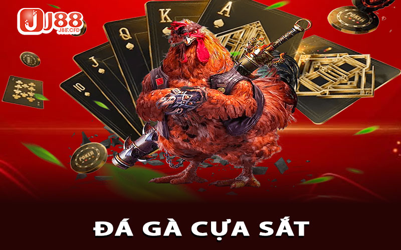 Đá gà cựa sắt
