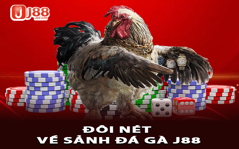 Đôi nét tổng quát về sảnh Đá gà J88 siêu cấp