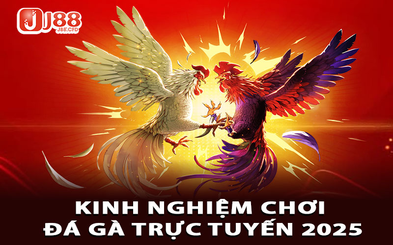 Kinh nghiệm chơi đá gà trực tuyến 2025